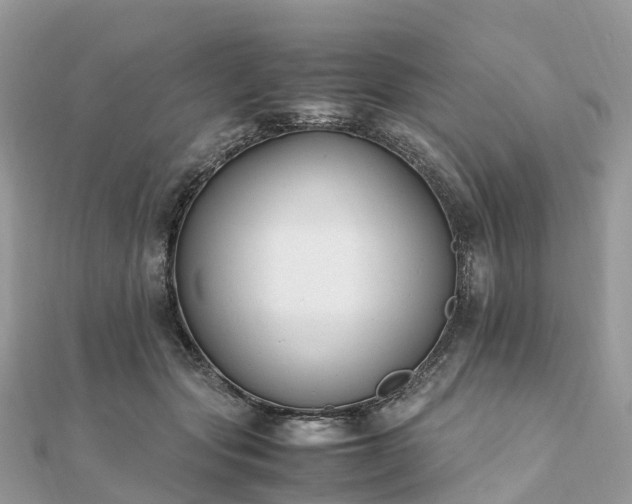 X0000111850557200907301113