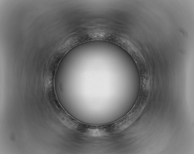 X0000111850561200907301113