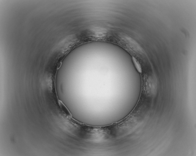 X0000111850562200907301113