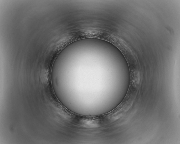 X0000111850563200907301113