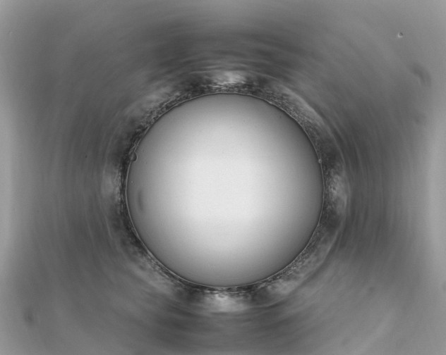 X0000111850565200907301113