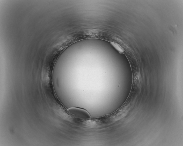 X0000111850566200907301113
