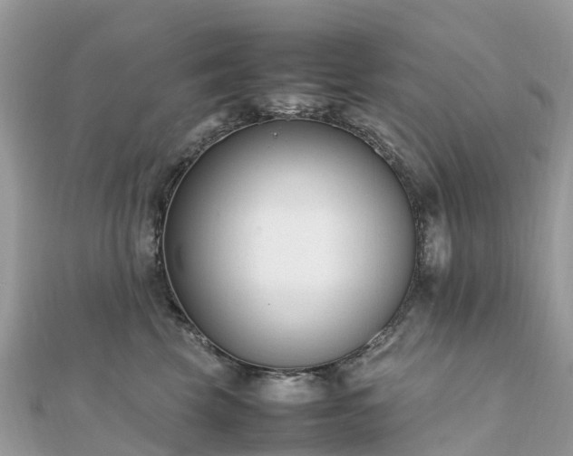 X0000111850569200907301113