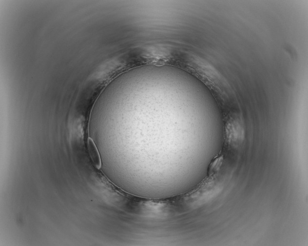 X0000111850570200907301113
