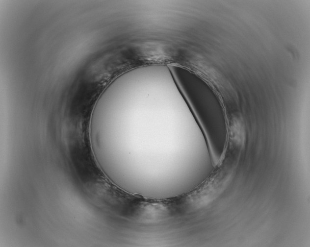 X0000111850572200907301113