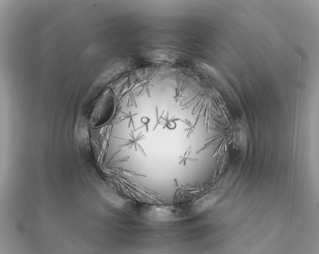 X0000111850573200907301113