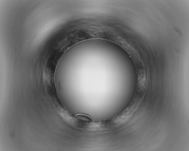 X0000111850574200907301113