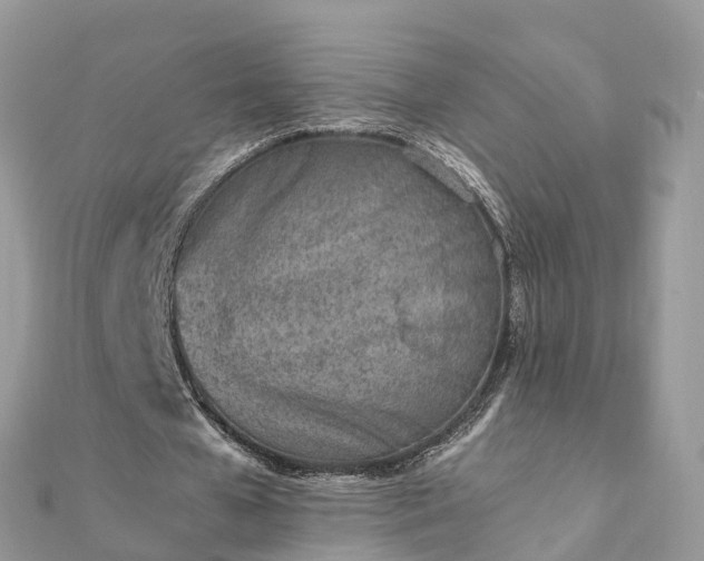 X0000111850577200907301112