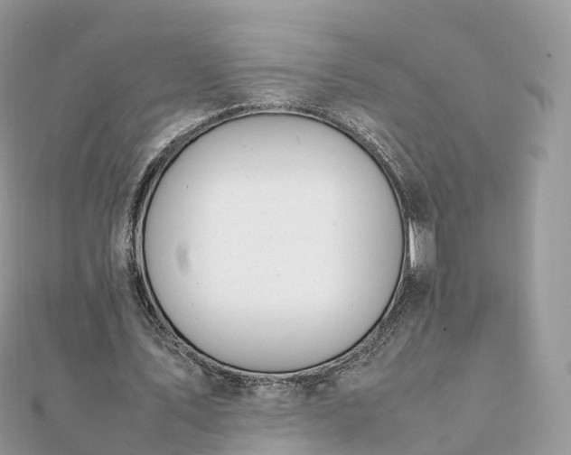 X0000111850579200907301112