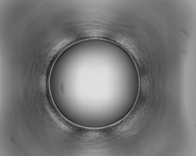 X0000111850581200907301112