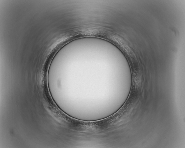 X0000111850583200907301112