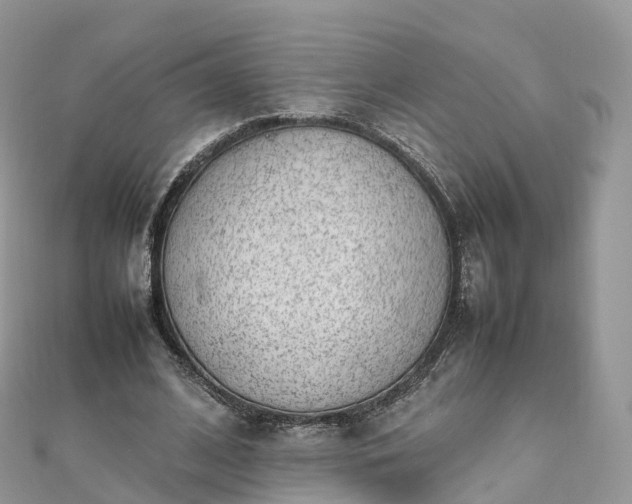 X0000111850584200907301112