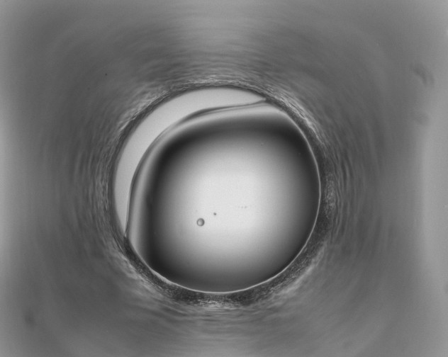 X0000111850585200907301112