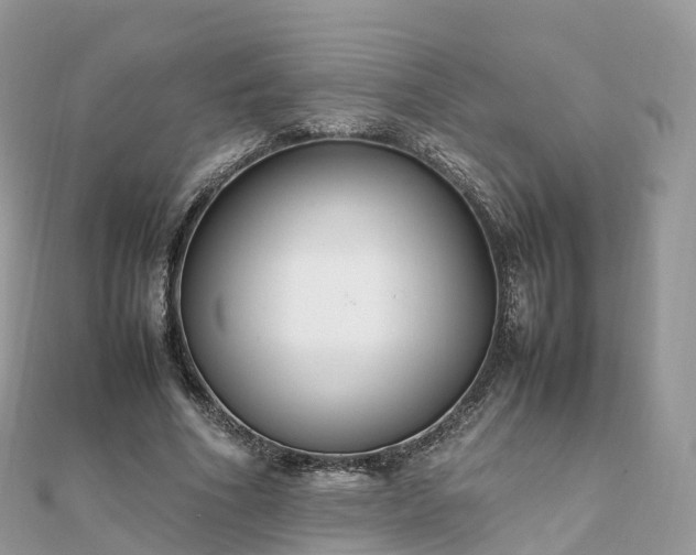 X0000111850586200907301112
