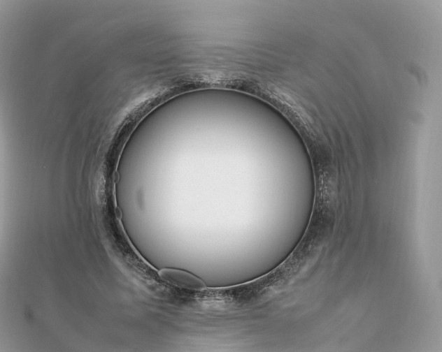 X0000111850587200907301112