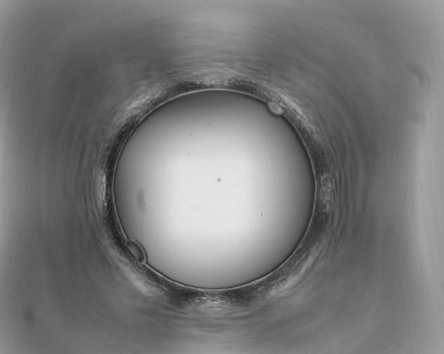 X0000111850589200907301112