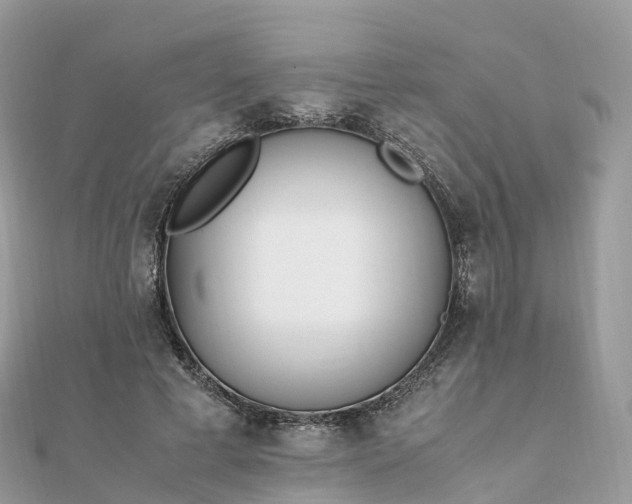 X0000111850593200907301112