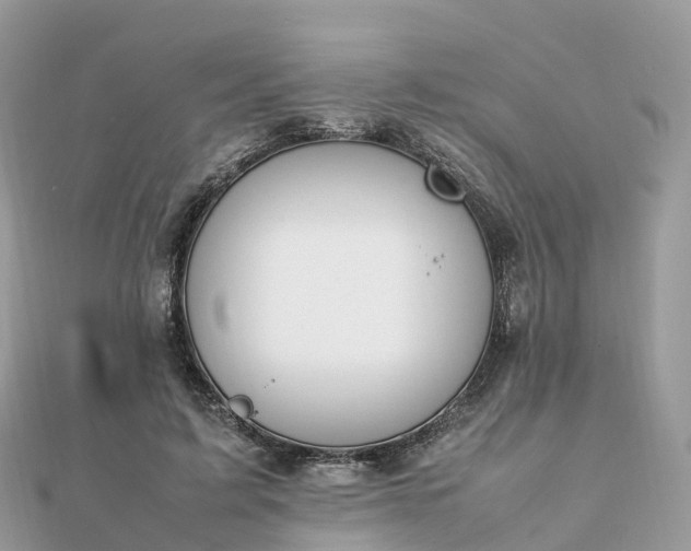 X0000111850595200907301112
