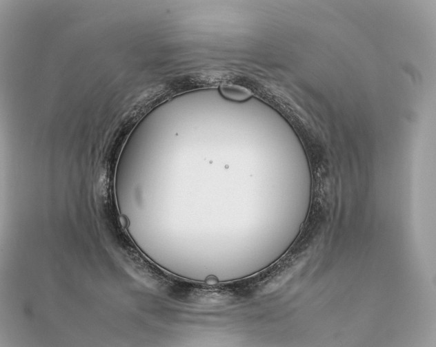 X0000111850597200907301112