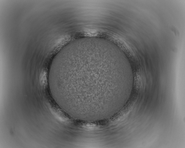 X0000111850598200907301112