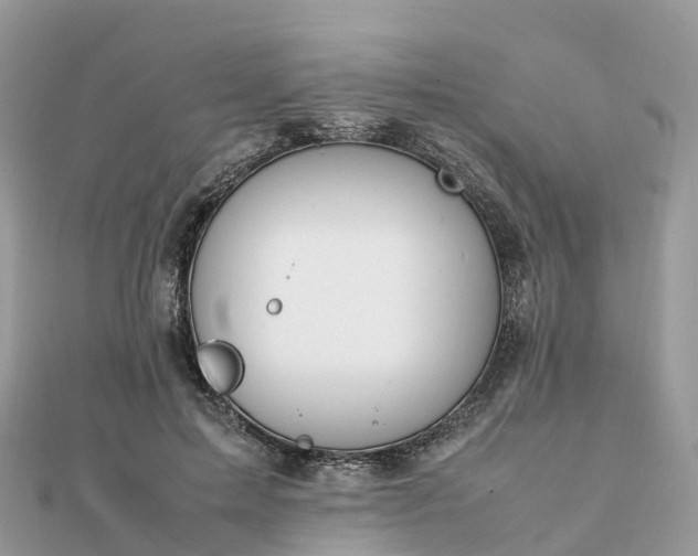 X0000111850599200907301112