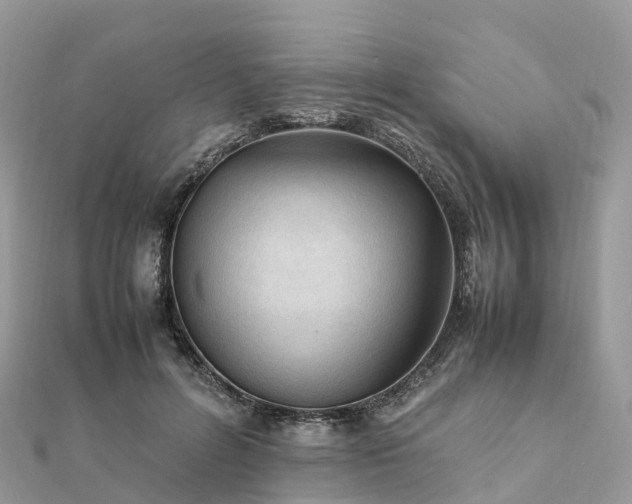 X0000111850600200907301112
