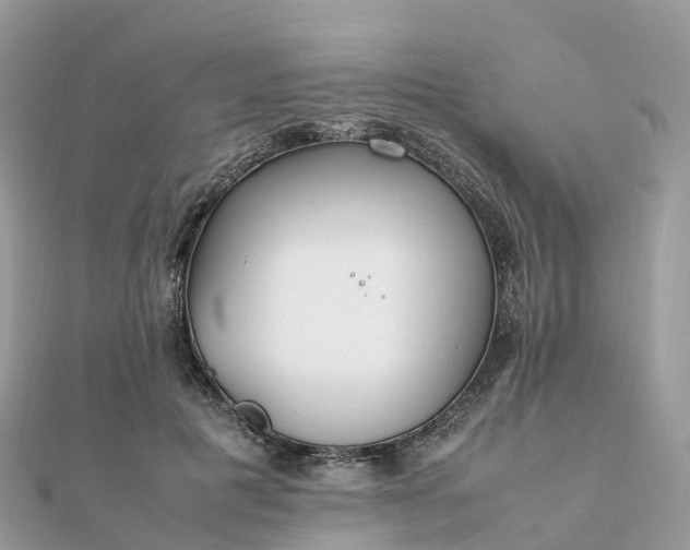 X0000111850601200907301112