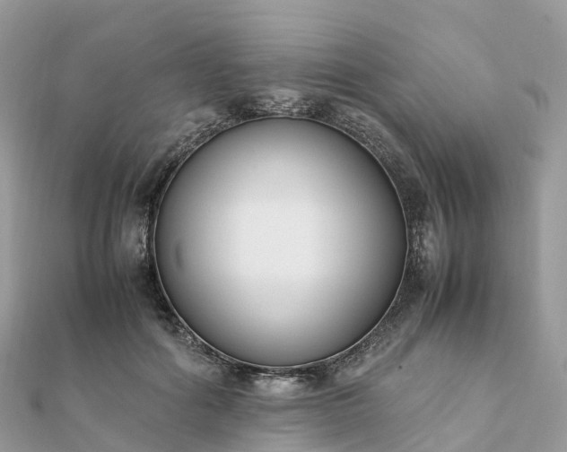 X0000111850602200907301112