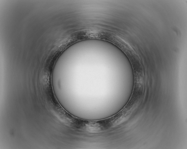 X0000111850603200907301112