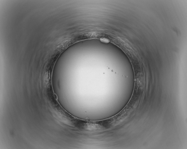 X0000111850605200907301112