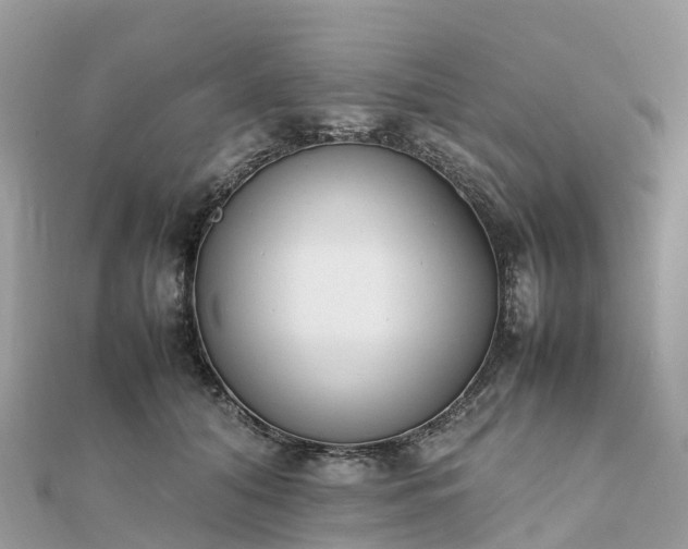 X0000111850608200907301112