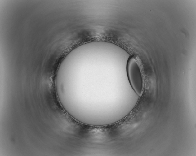 X0000111850611200907301112