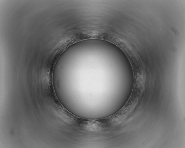 X0000111850612200907301112