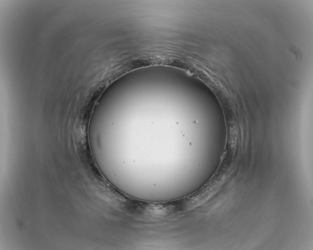 X0000111850613200907301112