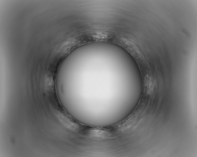 X0000111850614200907301112