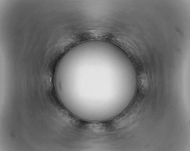 X0000111850615200907301112