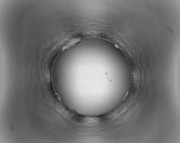 X0000111850617200907301112