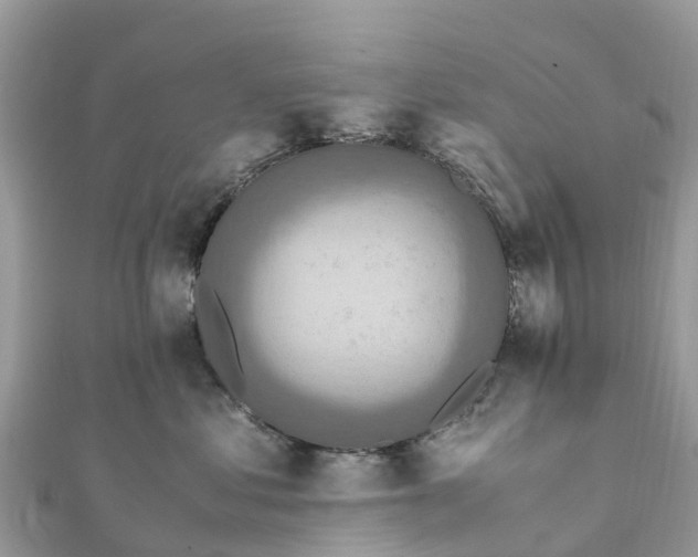 X0000111850621200907301112