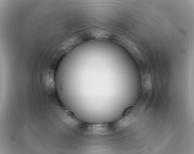 X0000111850622200907301112