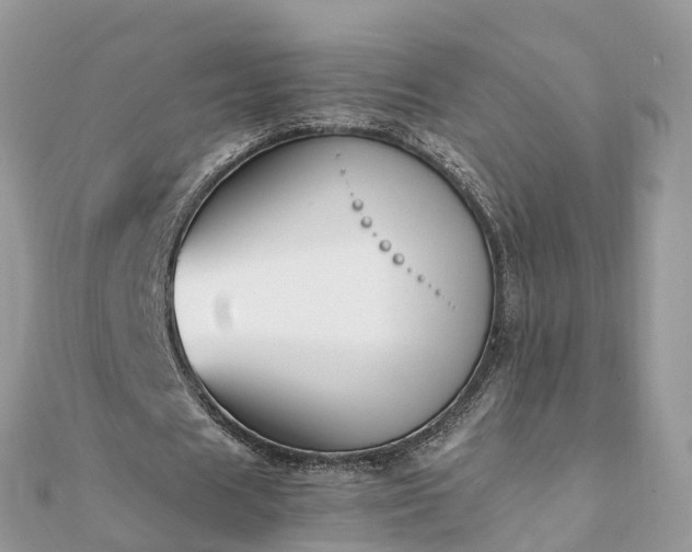 X0000111850625200907301111