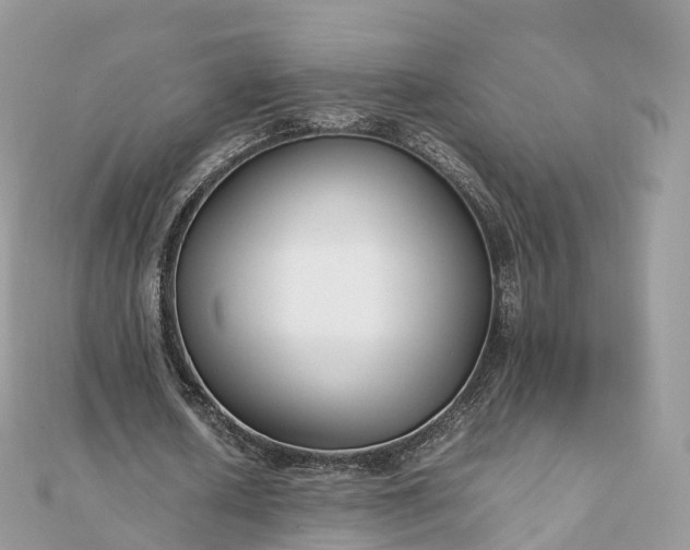 X0000111850626200907301111