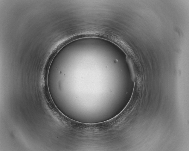 X0000111850628200907301111