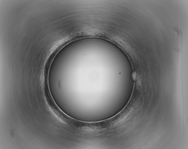 X0000111850630200907301111