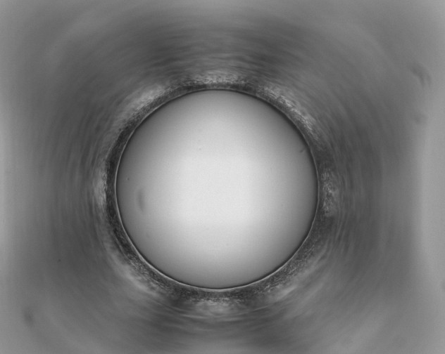 X0000111850631200907301111