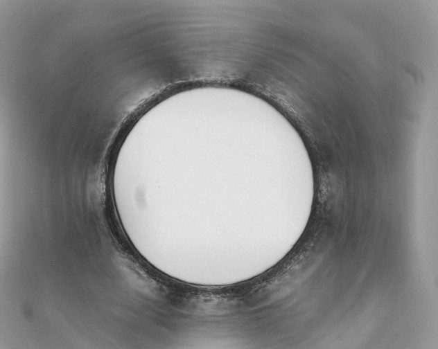 X0000111850632200907301111