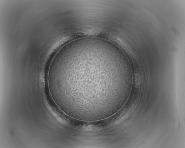 X0000111850634200907301111
