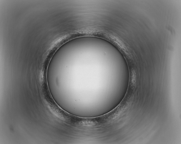 X0000111850636200907301111