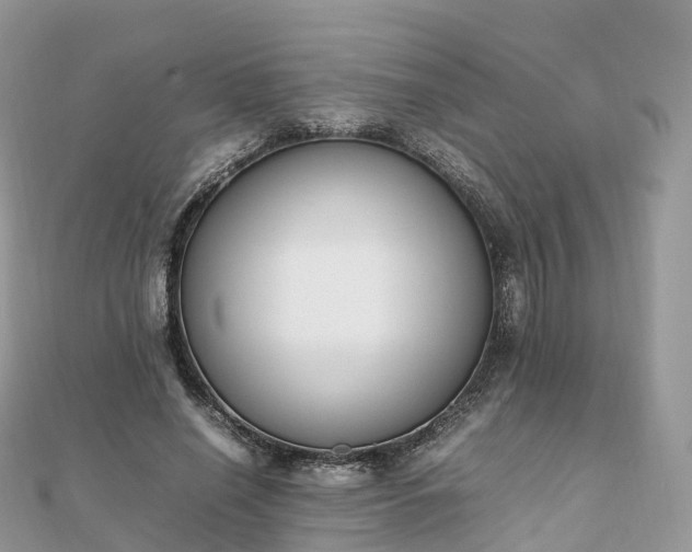 X0000111850638200907301111