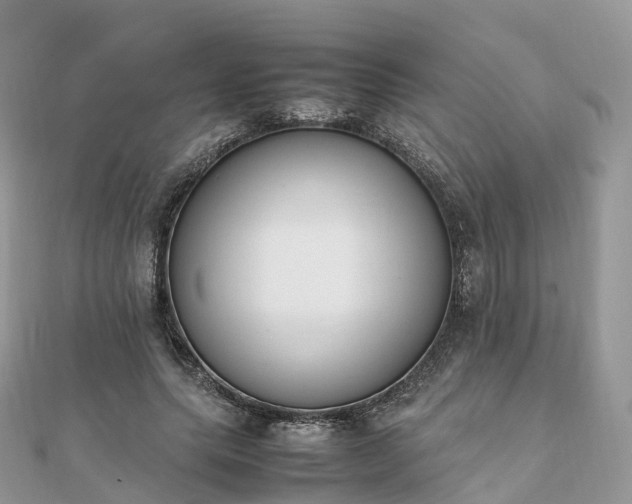 X0000111850639200907301111