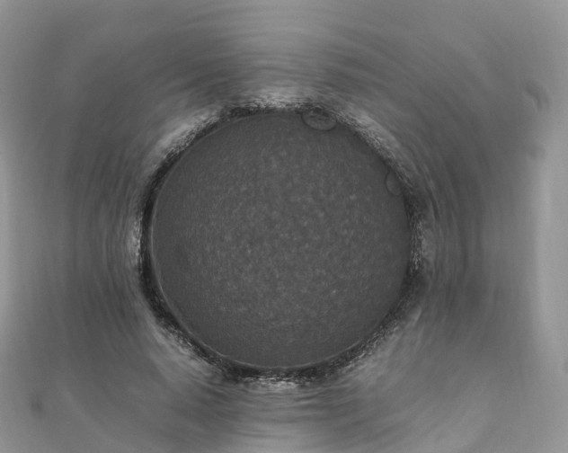 X0000111850640200907301111